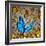 New Vision-digitalista-Framed Photographic Print