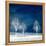 New World-Philippe Sainte-Laudy-Framed Premier Image Canvas