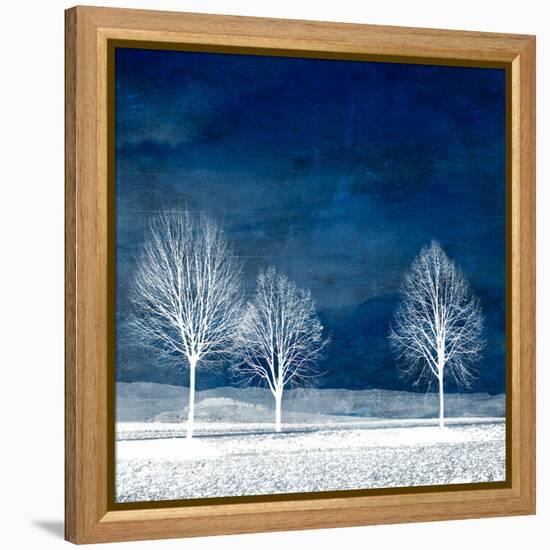 New World-Philippe Sainte-Laudy-Framed Premier Image Canvas