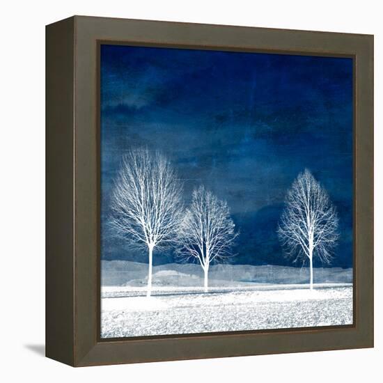 New World-Philippe Sainte-Laudy-Framed Premier Image Canvas