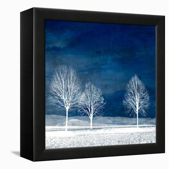 New World-Philippe Sainte-Laudy-Framed Premier Image Canvas