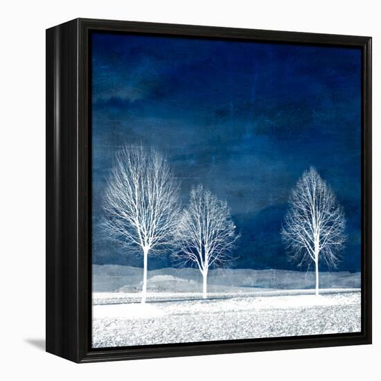 New World-Philippe Sainte-Laudy-Framed Premier Image Canvas