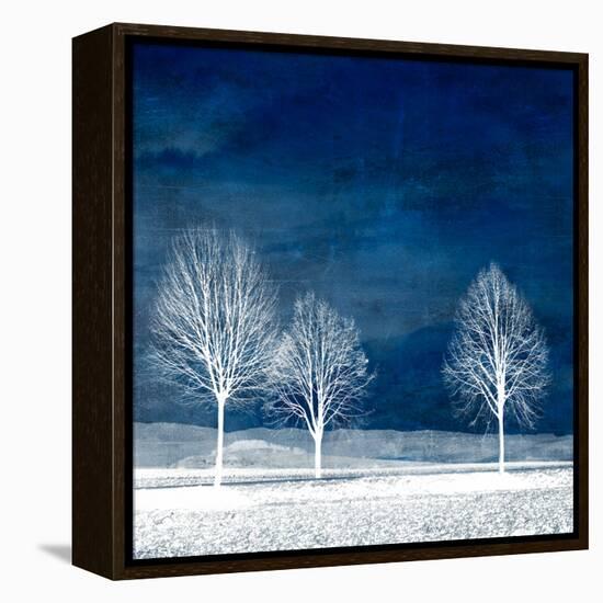 New World-Philippe Sainte-Laudy-Framed Premier Image Canvas