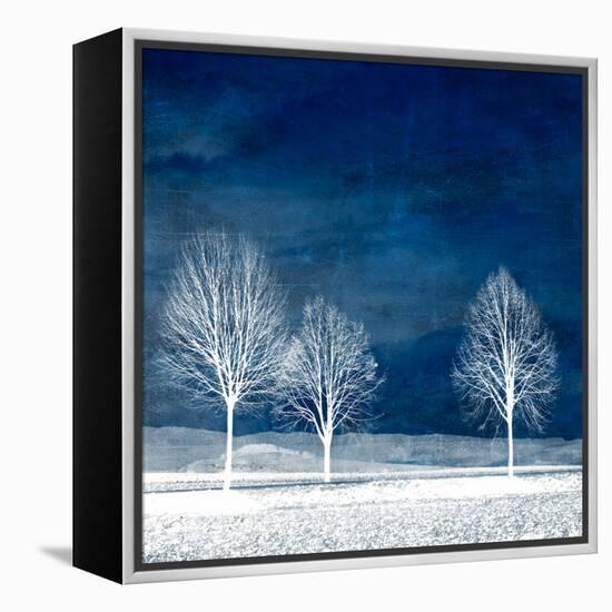 New World-Philippe Sainte-Laudy-Framed Premier Image Canvas