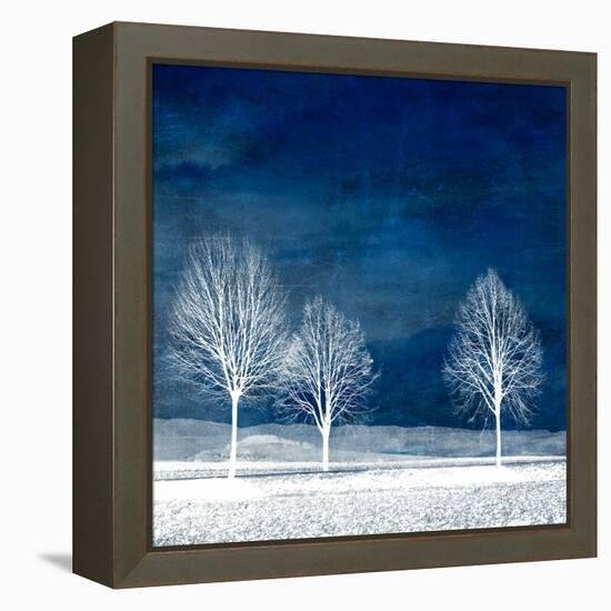New World-Philippe Sainte-Laudy-Framed Stretched Canvas