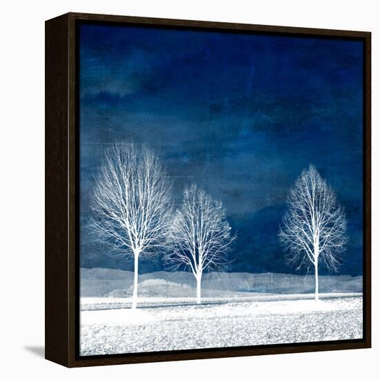 New World-Philippe Sainte-Laudy-Framed Stretched Canvas