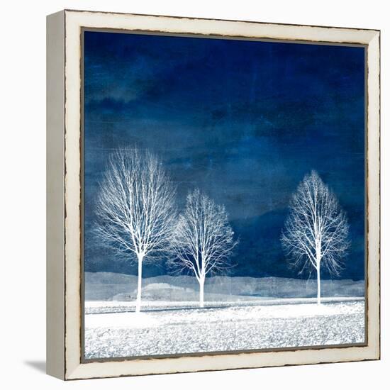 New World-Philippe Sainte-Laudy-Framed Premier Image Canvas