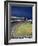 New Yankee Stadium, Located in the Bronx, New York, United States of America, North America-Donald Nausbaum-Framed Photographic Print