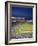 New Yankee Stadium, Located in the Bronx, New York, United States of America, North America-Donald Nausbaum-Framed Photographic Print