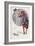 New Year's Card with a Girl and a Snowman (Colour Litho)-Xavier Sager-Framed Giclee Print