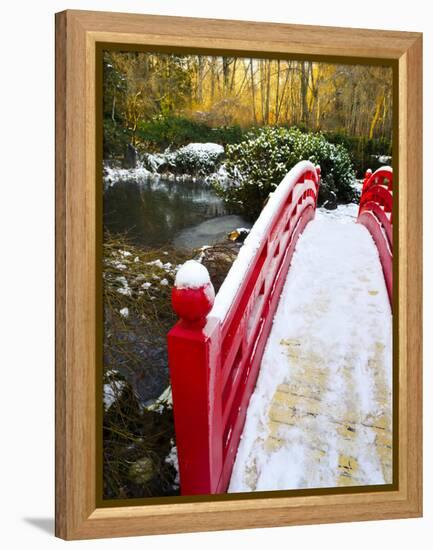 New Year's Day in Asian Garden, Mill Creek, Snohomish County, Washington, Usa-Richard Duval-Framed Premier Image Canvas