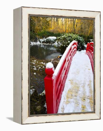 New Year's Day in Asian Garden, Mill Creek, Snohomish County, Washington, Usa-Richard Duval-Framed Premier Image Canvas