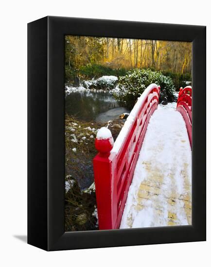 New Year's Day in Asian Garden, Mill Creek, Snohomish County, Washington, Usa-Richard Duval-Framed Premier Image Canvas