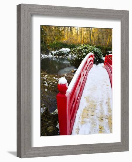 New Year's Day in Asian Garden, Mill Creek, Snohomish County, Washington, Usa-Richard Duval-Framed Photographic Print