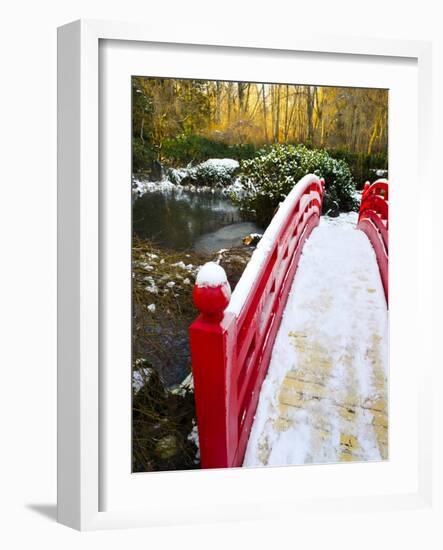 New Year's Day in Asian Garden, Mill Creek, Snohomish County, Washington, Usa-Richard Duval-Framed Photographic Print