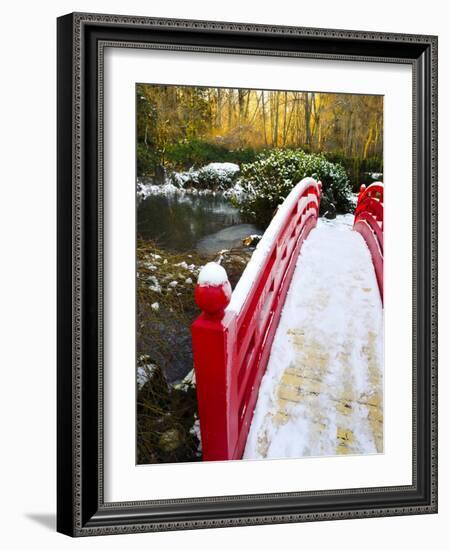 New Year's Day in Asian Garden, Mill Creek, Snohomish County, Washington, Usa-Richard Duval-Framed Photographic Print