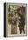 New Year's Day in Old New York-George Henry Boughton-Framed Premier Image Canvas