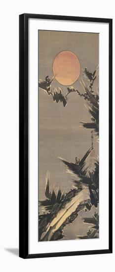 New Year's Sun, 1800 (Ink & Colour on Silk)-Ito Jakuchu-Framed Giclee Print