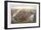 New York, 1873-null-Framed Giclee Print