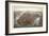 New York, 1873-null-Framed Giclee Print