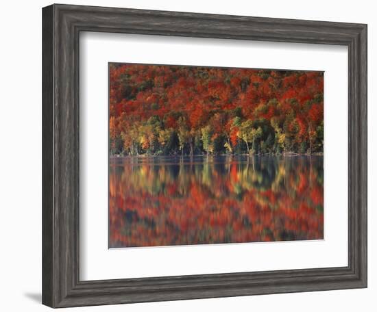 New York, Adirondack Mts, Fall and Fog Reflecting in Heart Lake-Christopher Talbot Frank-Framed Photographic Print