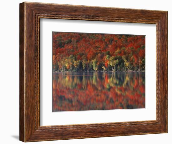 New York, Adirondack Mts, Fall and Fog Reflecting in Heart Lake-Christopher Talbot Frank-Framed Photographic Print