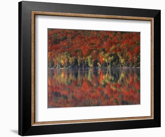 New York, Adirondack Mts, Fall and Fog Reflecting in Heart Lake-Christopher Talbot Frank-Framed Photographic Print