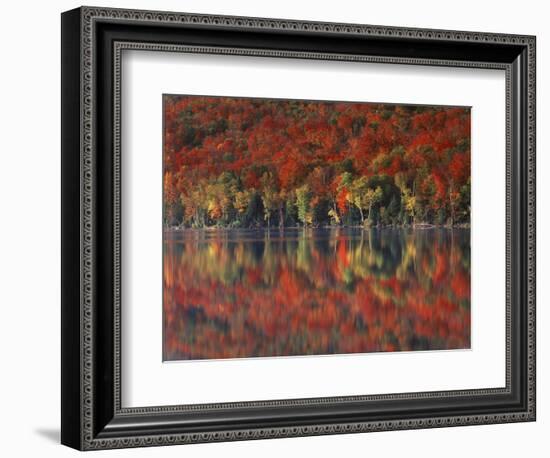 New York, Adirondack Mts, Fall and Fog Reflecting in Heart Lake-Christopher Talbot Frank-Framed Photographic Print