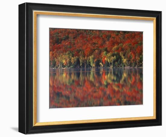 New York, Adirondack Mts, Fall and Fog Reflecting in Heart Lake-Christopher Talbot Frank-Framed Photographic Print