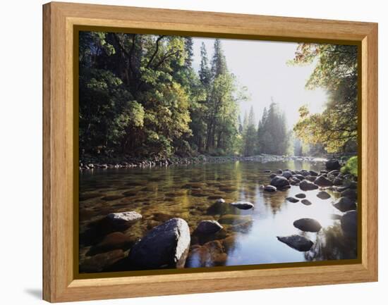 New York, Adirondack Mts, Fall Trees Alond a Stream-Christopher Talbot Frank-Framed Premier Image Canvas