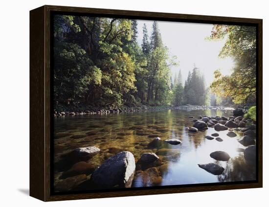 New York, Adirondack Mts, Fall Trees Alond a Stream-Christopher Talbot Frank-Framed Premier Image Canvas