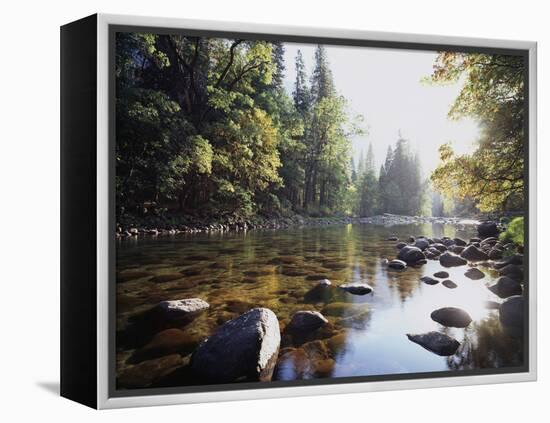 New York, Adirondack Mts, Fall Trees Alond a Stream-Christopher Talbot Frank-Framed Premier Image Canvas