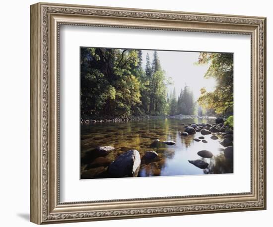 New York, Adirondack Mts, Fall Trees Alond a Stream-Christopher Talbot Frank-Framed Photographic Print