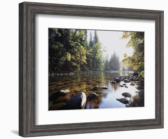 New York, Adirondack Mts, Fall Trees Alond a Stream-Christopher Talbot Frank-Framed Photographic Print