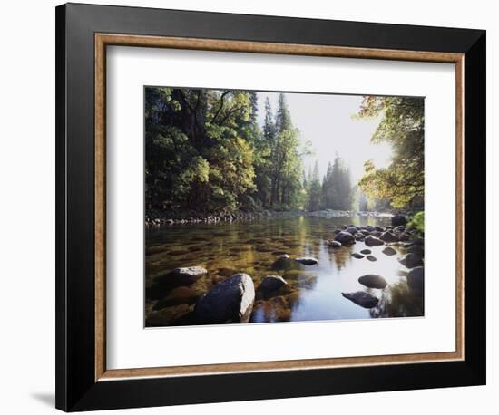 New York, Adirondack Mts, Fall Trees Alond a Stream-Christopher Talbot Frank-Framed Photographic Print