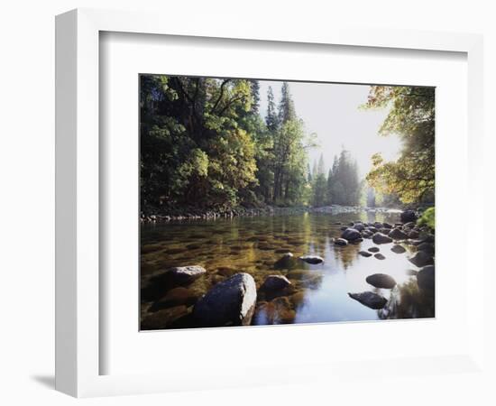 New York, Adirondack Mts, Fall Trees Alond a Stream-Christopher Talbot Frank-Framed Photographic Print