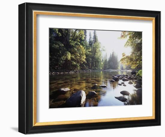 New York, Adirondack Mts, Fall Trees Alond a Stream-Christopher Talbot Frank-Framed Photographic Print