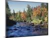 New York, Adirondack Mts, Sugar Maple Trees Along the AUSAble River-Christopher Talbot Frank-Mounted Photographic Print