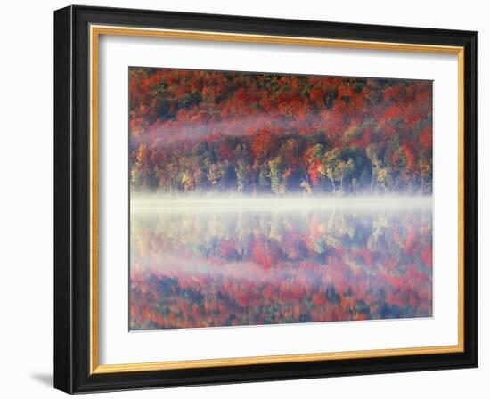 New York, Adirondack Mts, Sugar Maples and Fog at Heart Lake in Autumn-Christopher Talbot Frank-Framed Photographic Print