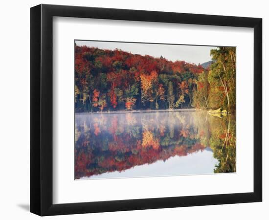 New York, Adirondack Mts, Sugar Maples and Fog at Heart Lake in Autumn-Christopher Talbot Frank-Framed Photographic Print