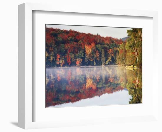 New York, Adirondack Mts, Sugar Maples and Fog at Heart Lake in Autumn-Christopher Talbot Frank-Framed Photographic Print