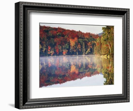 New York, Adirondack Mts, Sugar Maples and Fog at Heart Lake in Autumn-Christopher Talbot Frank-Framed Photographic Print