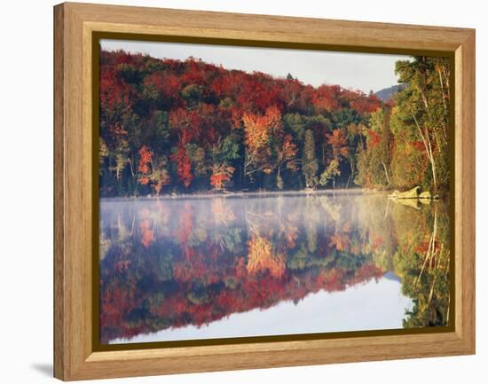 New York, Adirondack Mts, Sugar Maples and Fog at Heart Lake in Autumn-Christopher Talbot Frank-Framed Premier Image Canvas