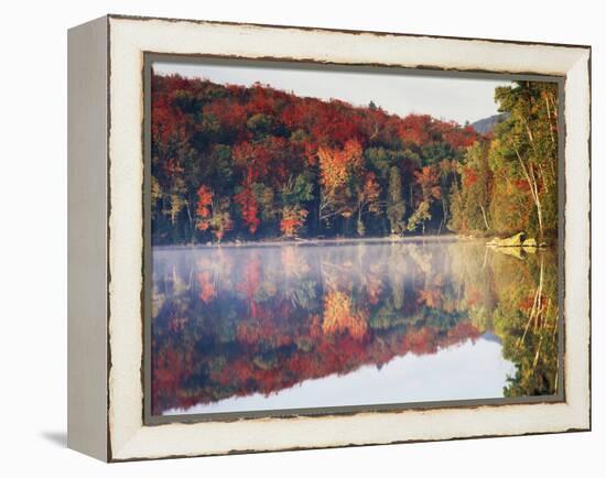 New York, Adirondack Mts, Sugar Maples and Fog at Heart Lake in Autumn-Christopher Talbot Frank-Framed Premier Image Canvas