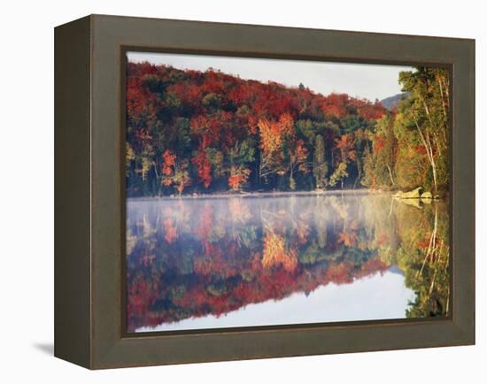 New York, Adirondack Mts, Sugar Maples and Fog at Heart Lake in Autumn-Christopher Talbot Frank-Framed Premier Image Canvas