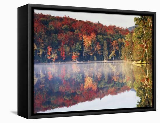 New York, Adirondack Mts, Sugar Maples and Fog at Heart Lake in Autumn-Christopher Talbot Frank-Framed Premier Image Canvas