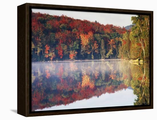 New York, Adirondack Mts, Sugar Maples and Fog at Heart Lake in Autumn-Christopher Talbot Frank-Framed Premier Image Canvas