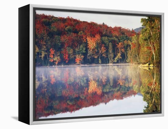 New York, Adirondack Mts, Sugar Maples and Fog at Heart Lake in Autumn-Christopher Talbot Frank-Framed Premier Image Canvas