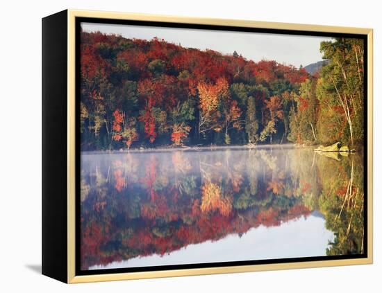 New York, Adirondack Mts, Sugar Maples and Fog at Heart Lake in Autumn-Christopher Talbot Frank-Framed Premier Image Canvas