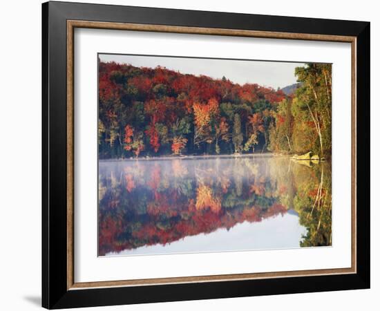 New York, Adirondack Mts, Sugar Maples and Fog at Heart Lake in Autumn-Christopher Talbot Frank-Framed Photographic Print